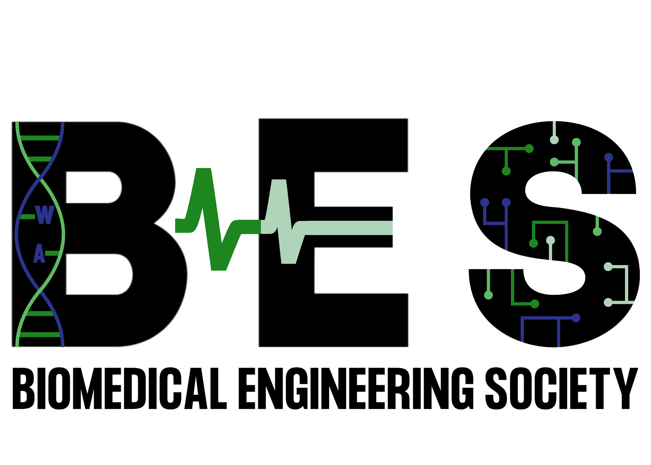 Biomedical Engineering Society Of Wa 